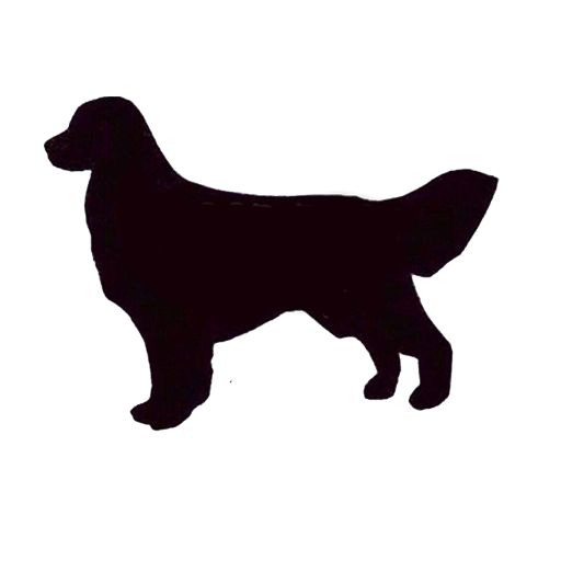 Good Dog! Grooming